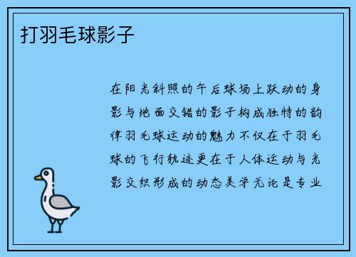 打羽毛球影子